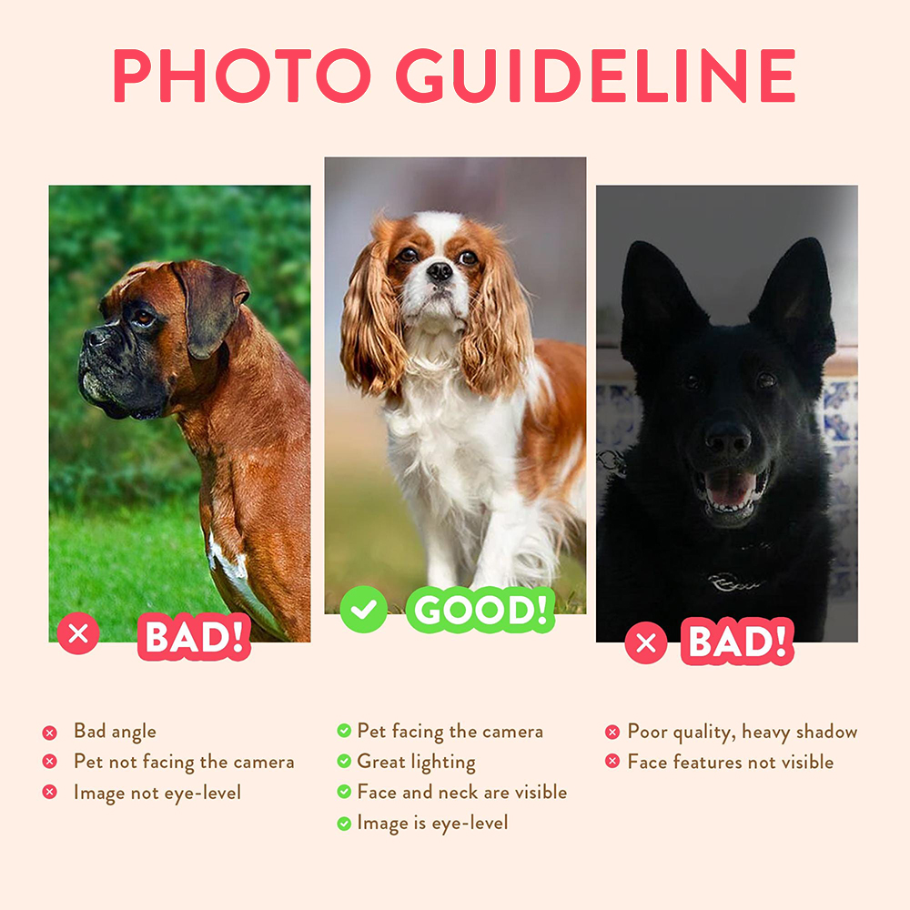 Personalized Pet Portraits Pho - Pet Portrait Custom 리뷰 및 가격