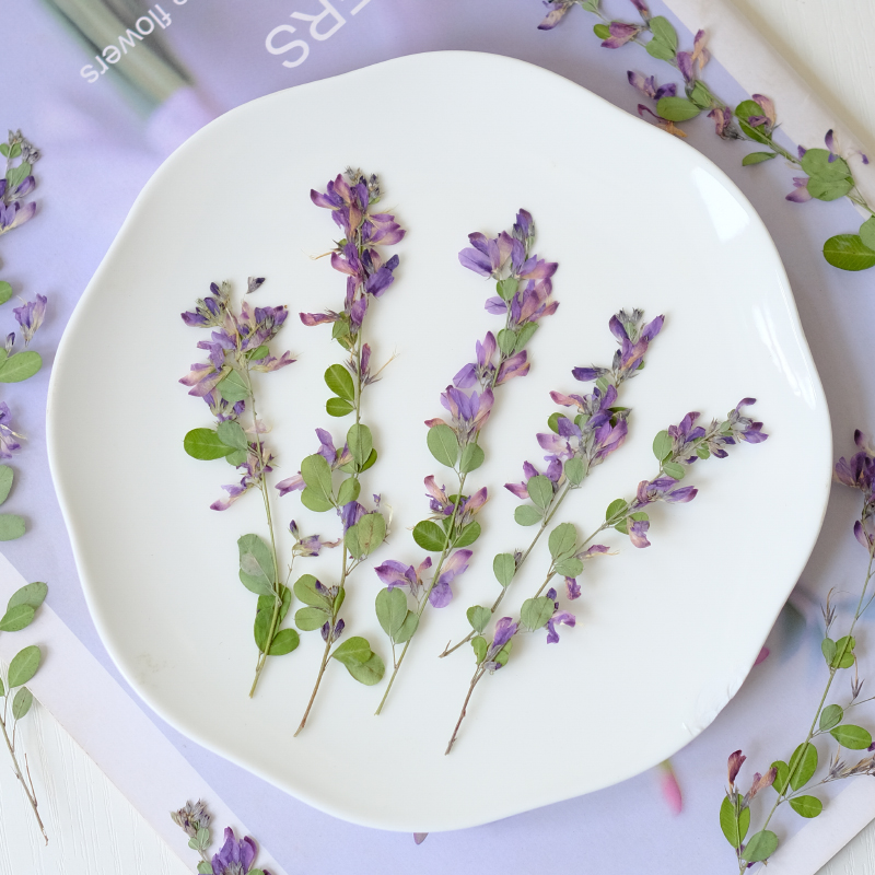 6pcs,nature Lespedeza Formosa  - Dried Flower Bookmark 리뷰 및 가격