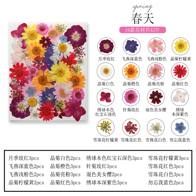 Natural Plant Flower and Leaf  - Dried Flower Bookmark 리뷰 및 가격