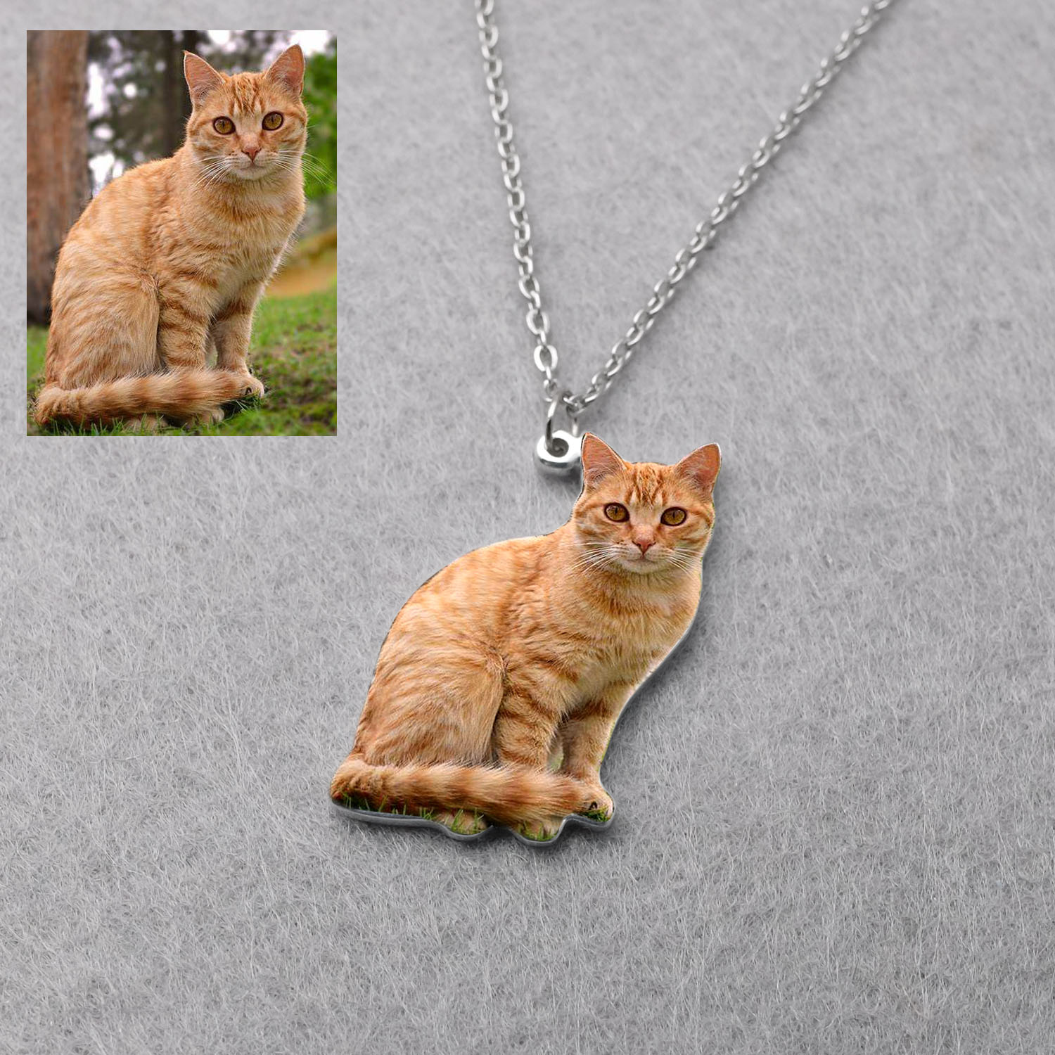 Personalized Pet Picture Neckl - Pet Portrait Custom 리뷰 및 가격