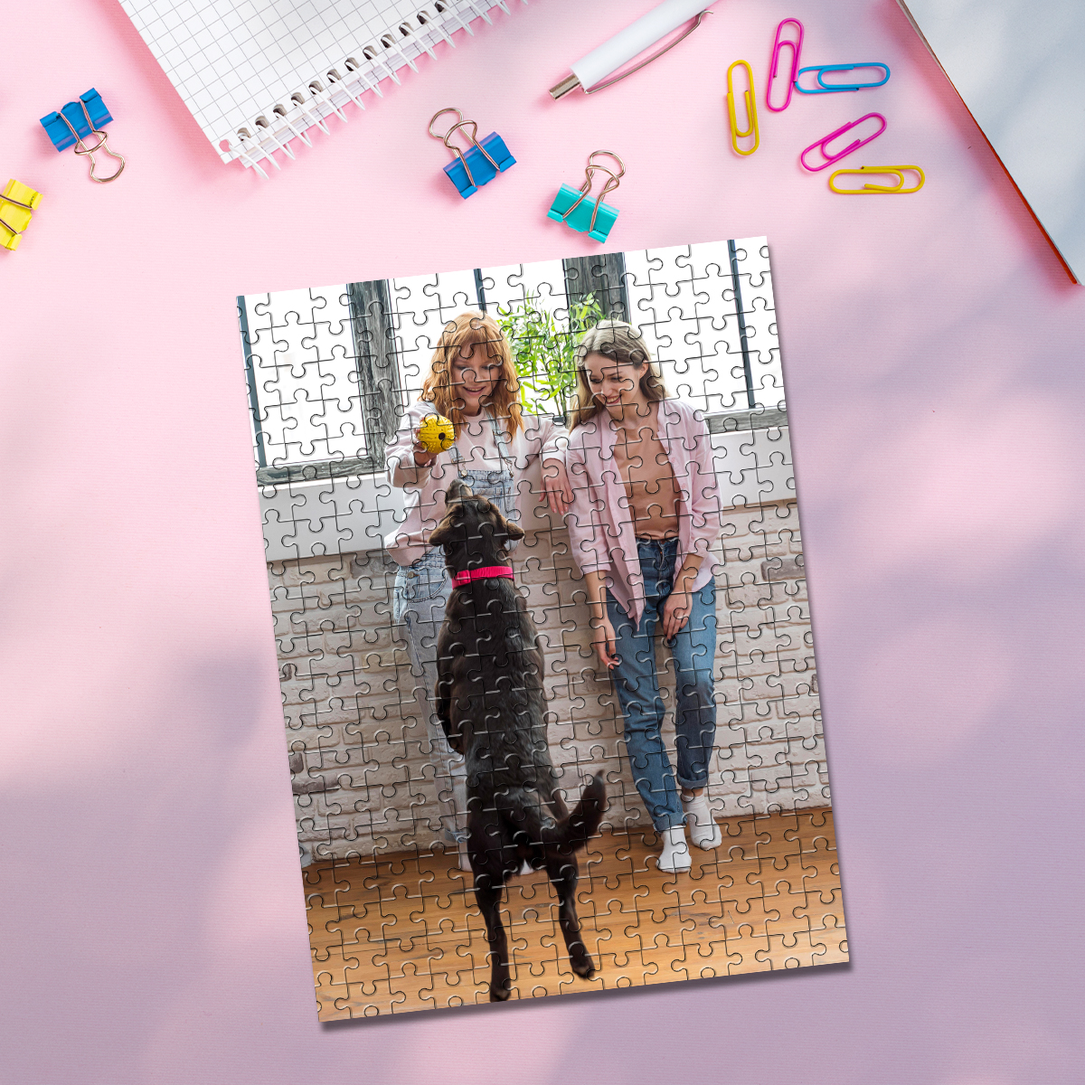35/150/300/500/1000pcs Persona - Pet Portrait Custom 리뷰 및 가격
