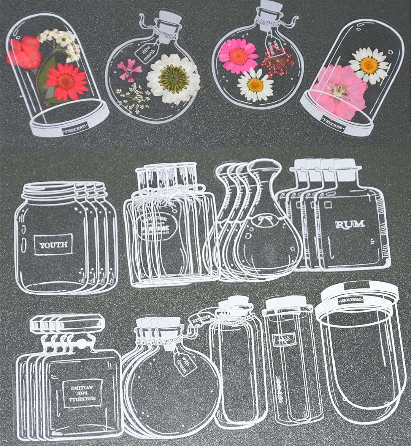 30Pcs Transparent Dried Flower - Dried Flower Bookmark 리뷰 및 가격