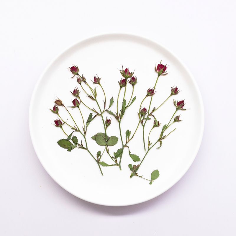 12pcs,Dried Rose Multi Bud Bra - Dried Flower Bookmark 리뷰 및 가격