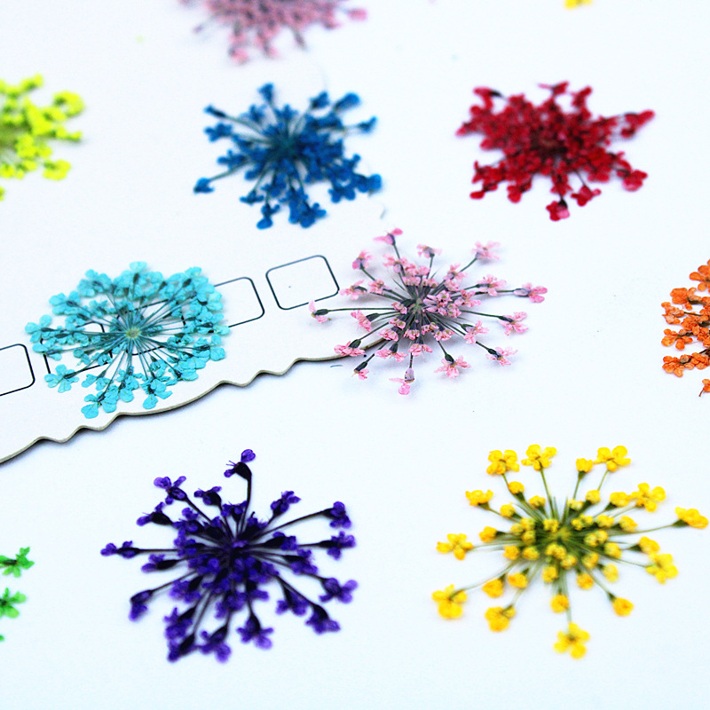 500pcs Lace Flowers Dried Flow - Dried Flower Bookmark 리뷰 및 가격