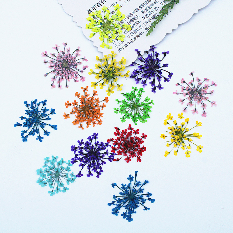 500pcs Lace Flowers Dried Flow - Dried Flower Bookmark 리뷰 및 가격
