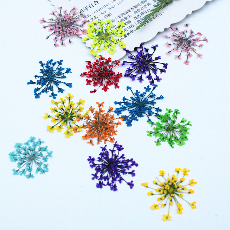 500pcs Lace Flowers Dried Flow - Dried Flower Bookmark 리뷰 및 가격